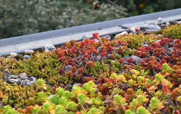 the cost of Bishops Tawton green roof installation