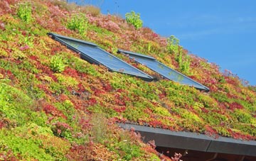 Bishops Tawton living roof systems